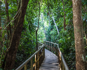 Manuel Antonio National Park