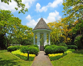 Singapore Botanic Gardens